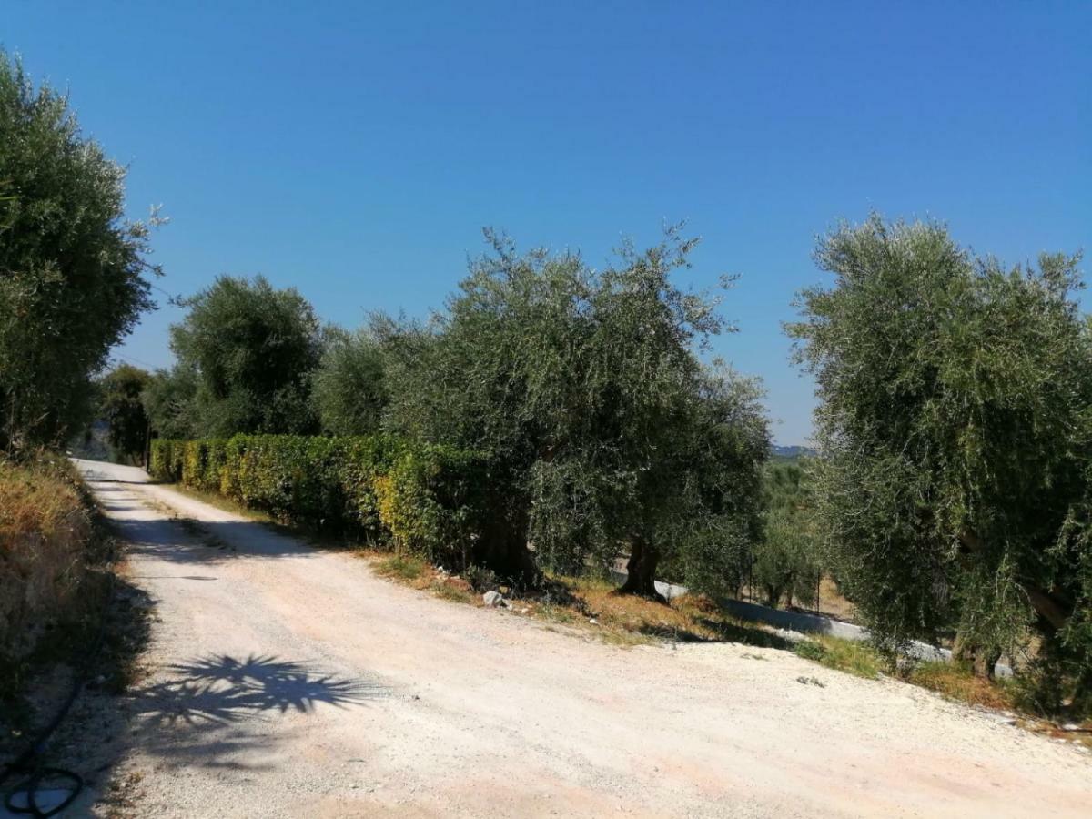 Pozzo Dei Desideri Appartamenti Peschici Exterior foto